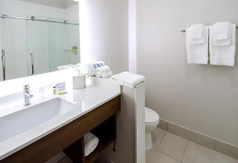 Standard-invahuone, Holiday Inn Express & Suites Taylor, An Ihg