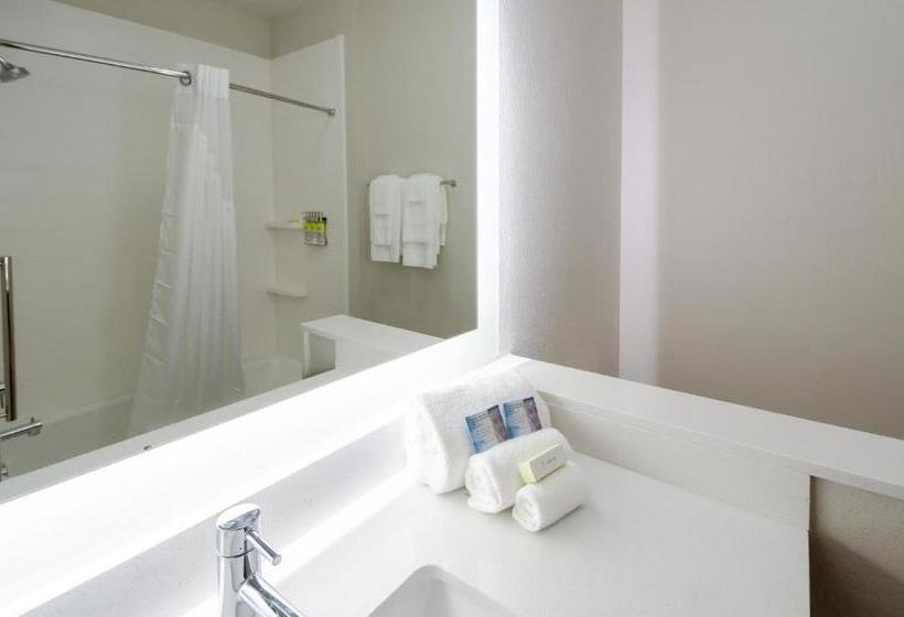 Номер Стандарт Адаптированный для Инвалидов, Holiday Inn Express & Suites Taylor, An Ihg