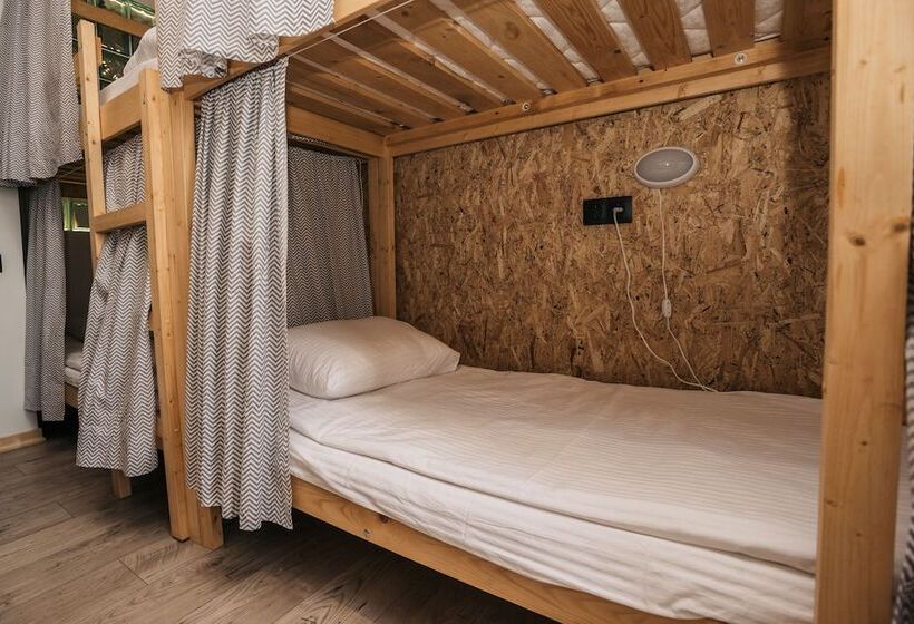 تختخواب در اتاق مشترک, Loft Hostel