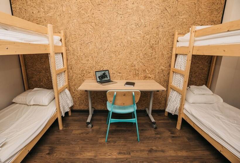 تختخواب در اتاق مشترک, Loft Hostel