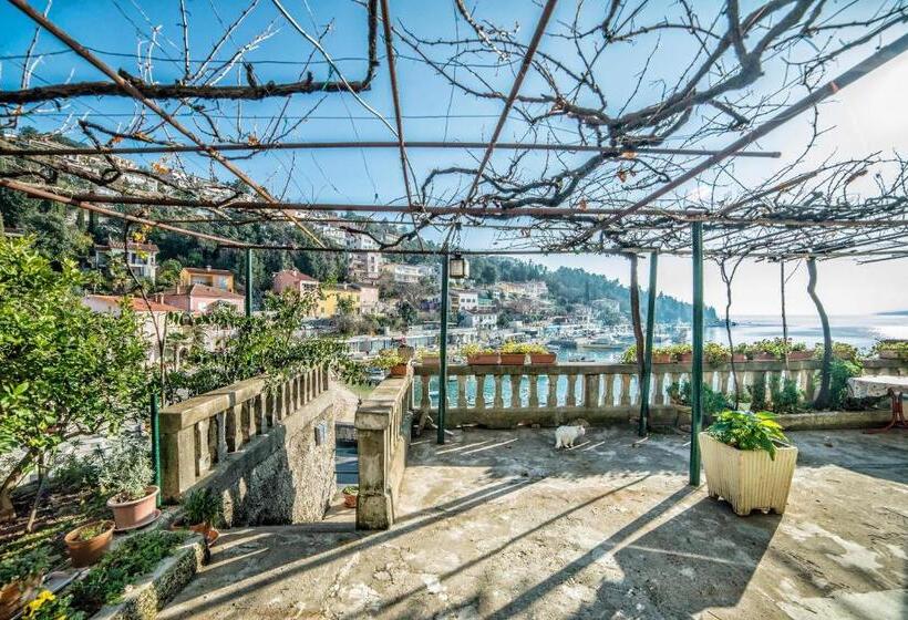 Номер Стандарт Совместная Ванная, Guest House Alice