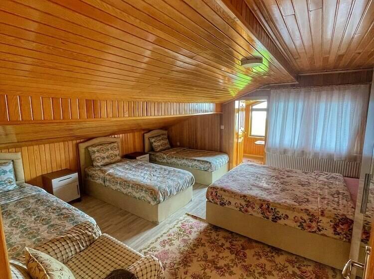 آپارتمان سوپریور 1 خوابه, Uzungol Karester Villa Apart