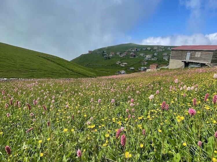 آپارتمان سوپریور 1 خوابه, Uzungol Karester Villa Apart