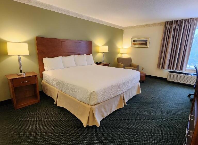 스탠다드 룸 킹사이즈 침대, Baymont By Wyndham Mackinaw City