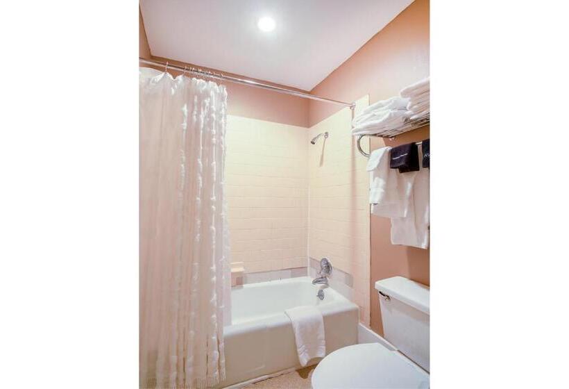 غرفه قياسيه سريرين مزدوجين, Belmont Inn