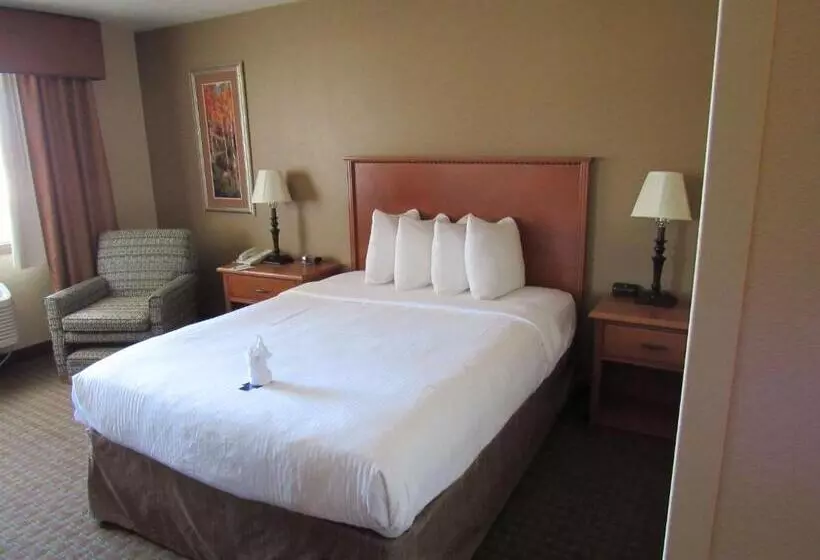 اتاق استاندارد برای معلولان, Best Western Empire Towers