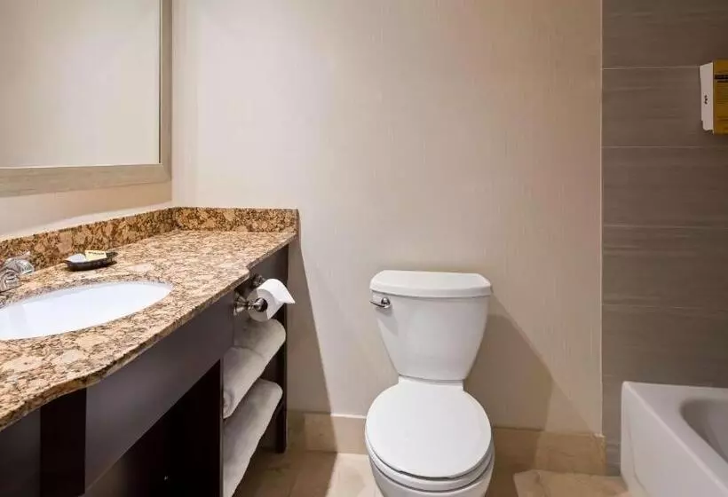 キングサイズベッドのデラックススイート, Best Western Plus Ambassador Suites