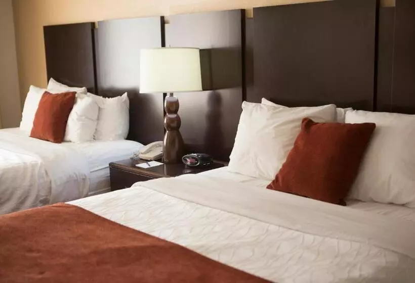 スイート, Best Western Plus Ambassador Suites