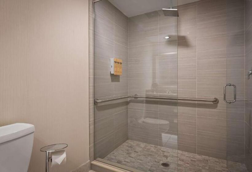 이그제큐티브 스위트 킹침대, Best Western Plus Ambassador Suites