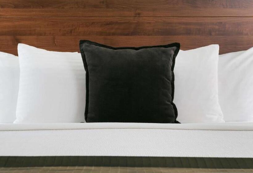 غرفة قياسية سرير كينج, Best Western Plus Columbia River Inn