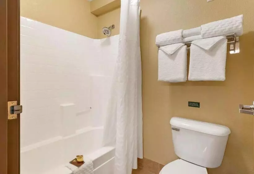キングサイズベッドのスタンダードルーム, Best Western Plus Columbia River Inn