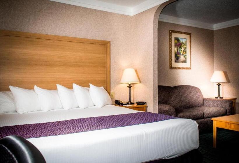 سوئیت با تخت بزرگ, Best Western Plus Executive Court Inn & Conference Center