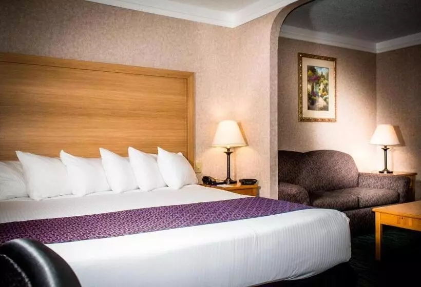 سوئیت با تخت بزرگ, Best Western Plus Executive Court Inn & Conference Center