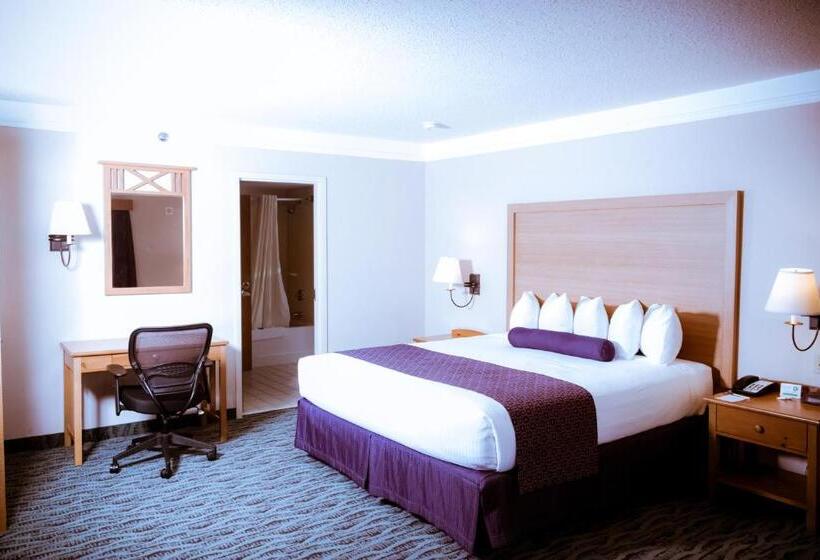 带大床的套房, Best Western Plus Executive Court Inn & Conference Center