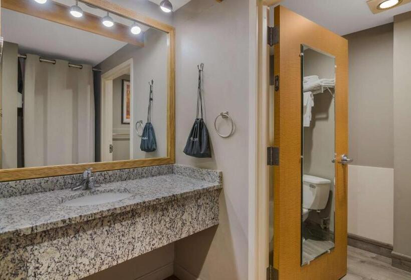 سوئیت با تخت بزرگ, Best Western Plus Executive Court Inn & Conference Center