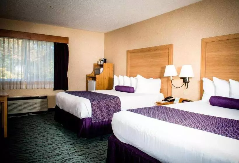 اتاق استاندارد, Best Western Plus Executive Court Inn & Conference Center