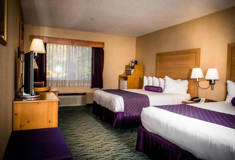 标准间, Best Western Plus Executive Court Inn & Conference Center