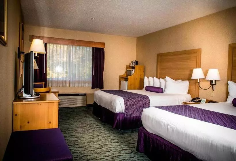 اتاق استاندارد, Best Western Plus Executive Court Inn & Conference Center