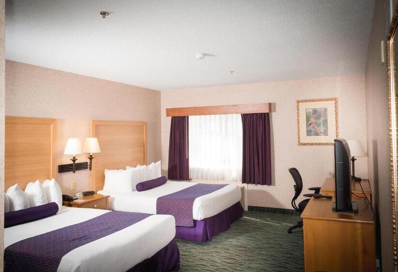 اتاق استاندارد, Best Western Plus Executive Court Inn & Conference Center