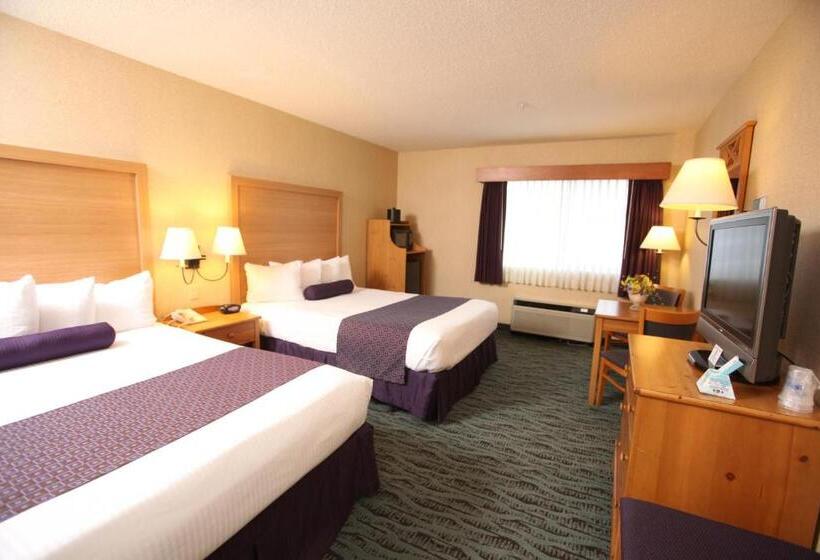标准间, Best Western Plus Executive Court Inn & Conference Center