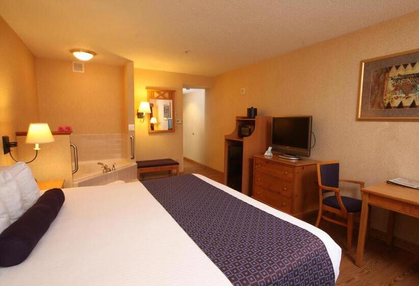 اتاق استاندارد با تخت بزرگ, Best Western Plus Executive Court Inn & Conference Center