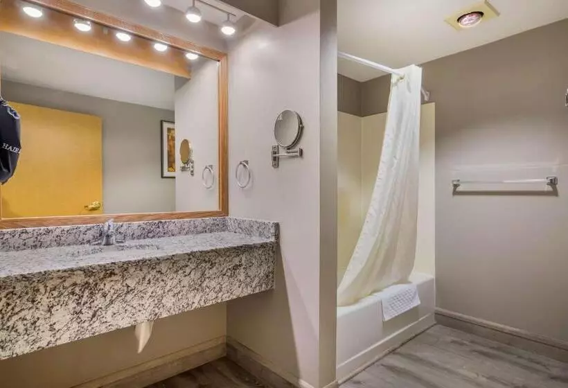 اتاق استاندارد با تخت بزرگ, Best Western Plus Executive Court Inn & Conference Center