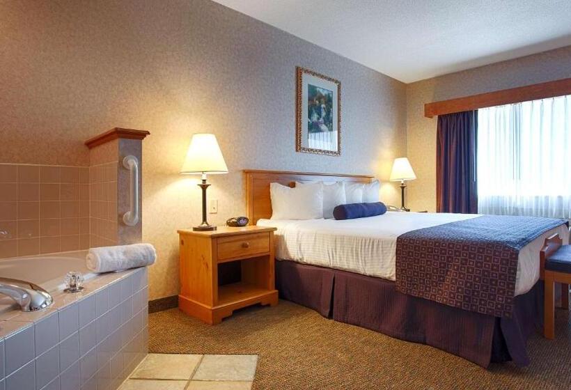 带大床的标准间, Best Western Plus Executive Court Inn & Conference Center