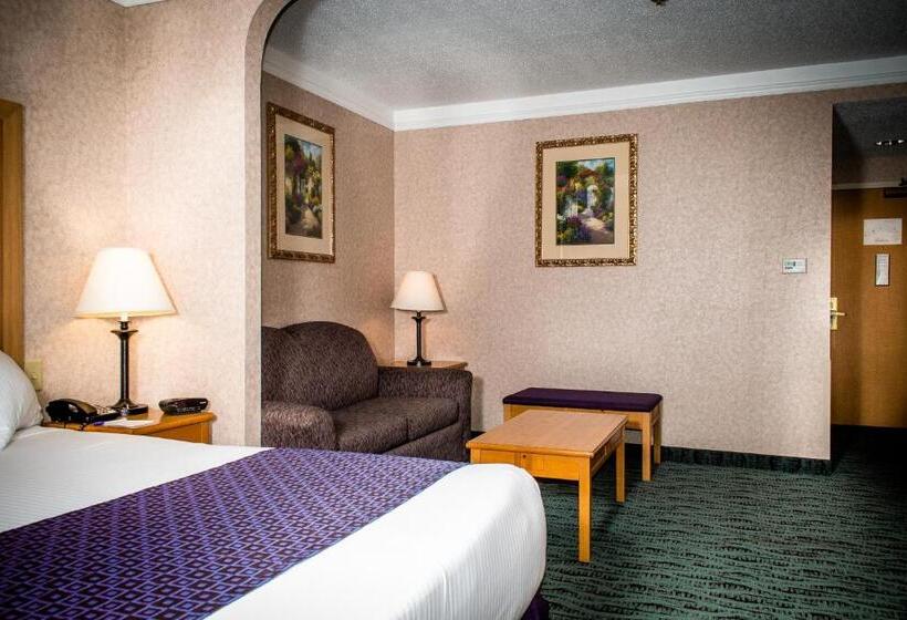 اتاق استاندارد با تخت بزرگ, Best Western Plus Executive Court Inn & Conference Center