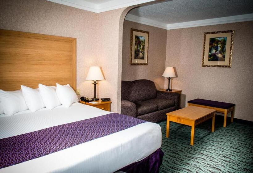 带大床的标准间, Best Western Plus Executive Court Inn & Conference Center