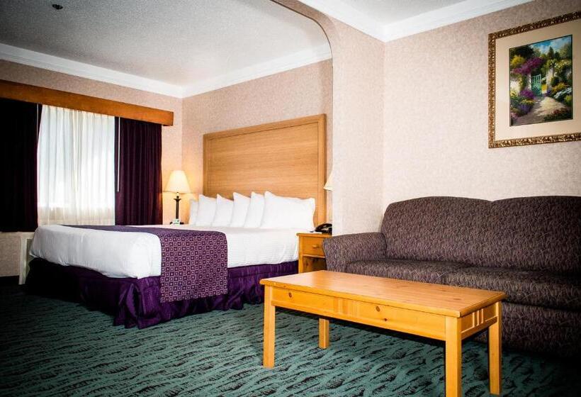 اتاق استاندارد با تخت بزرگ, Best Western Plus Executive Court Inn & Conference Center