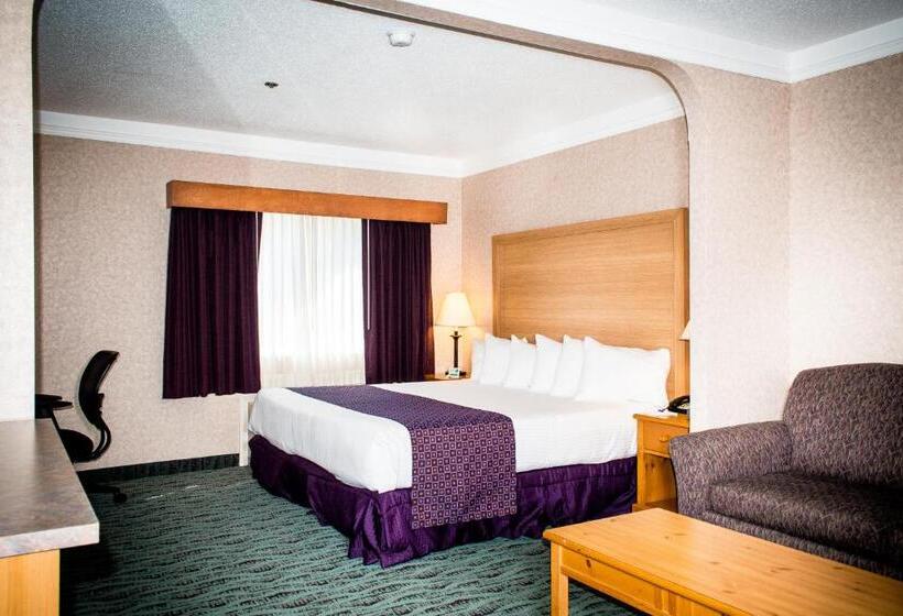 اتاق استاندارد با تخت بزرگ, Best Western Plus Executive Court Inn & Conference Center