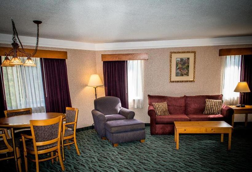 سوئیت با تخت بزرگ, Best Western Plus Executive Court Inn & Conference Center