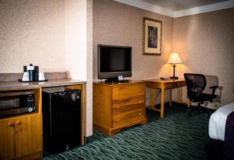 اتاق استاندارد با تخت بزرگ برای معلولان, Best Western Plus Executive Court Inn & Conference Center