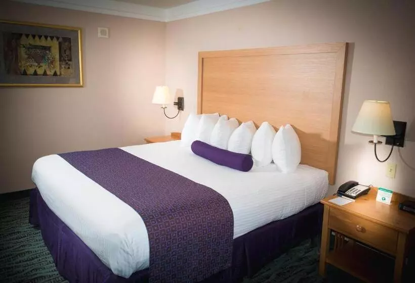 اتاق استاندارد با تخت بزرگ برای معلولان, Best Western Plus Executive Court Inn & Conference Center