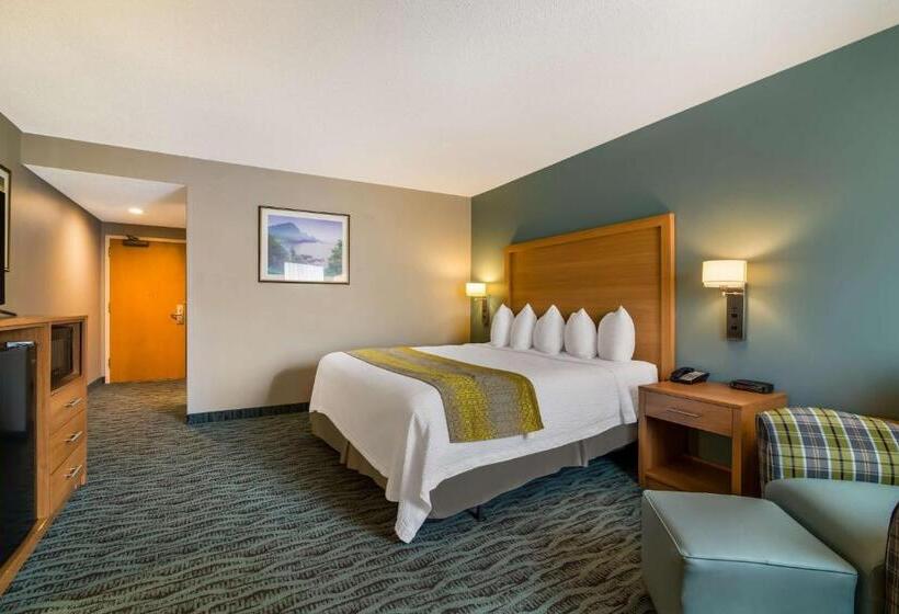 اتاق استاندارد با تخت بزرگ برای معلولان, Best Western Plus Executive Court Inn & Conference Center