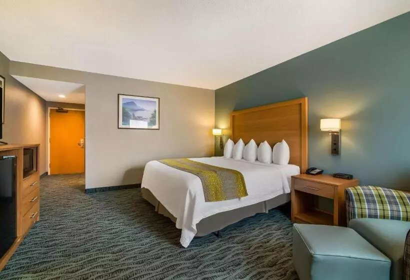 اتاق استاندارد با تخت بزرگ برای معلولان, Best Western Plus Executive Court Inn & Conference Center
