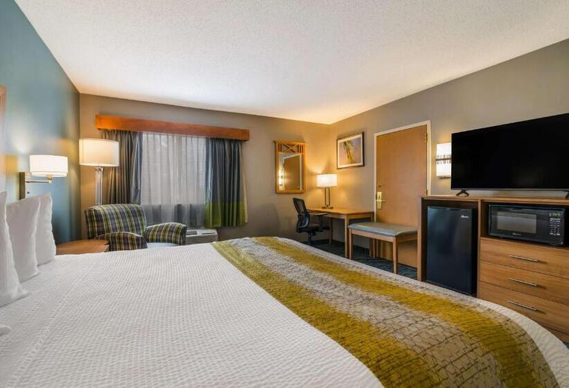 اتاق استاندارد با تخت بزرگ برای معلولان, Best Western Plus Executive Court Inn & Conference Center