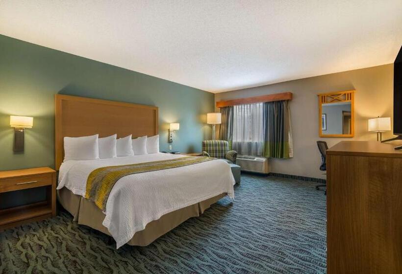 اتاق استاندارد با تخت بزرگ برای معلولان, Best Western Plus Executive Court Inn & Conference Center