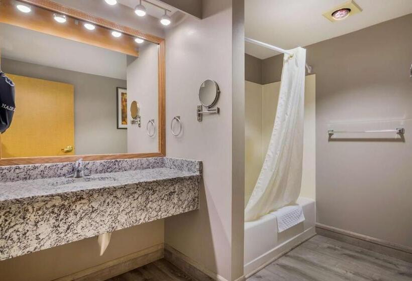 适合残疾人士使用的带超级大床的标准间, Best Western Plus Executive Court Inn & Conference Center