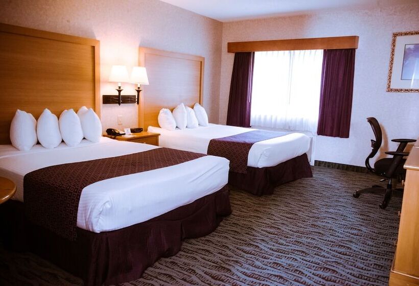 سوییت, Best Western Plus Executive Court Inn & Conference Center