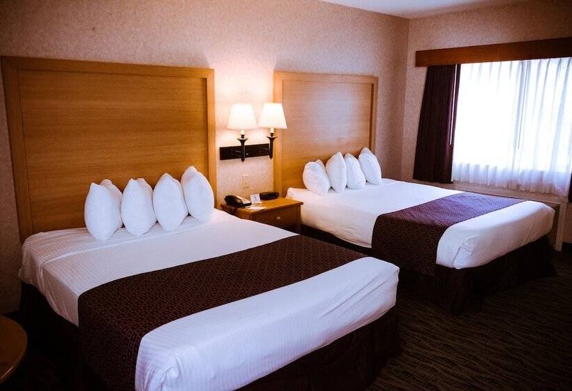 سوییت, Best Western Plus Executive Court Inn & Conference Center