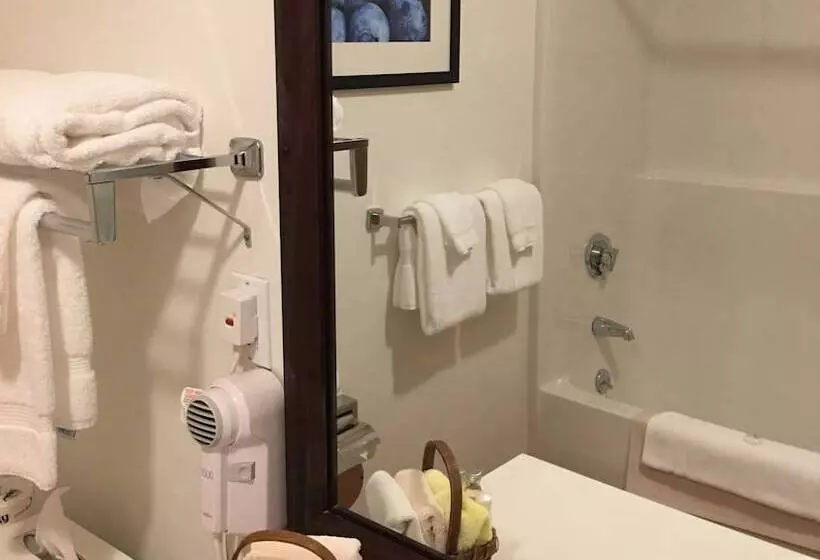 クイーンサイズベッドのスタンダードルーム, Camden Riverhouse Hotel And Inn