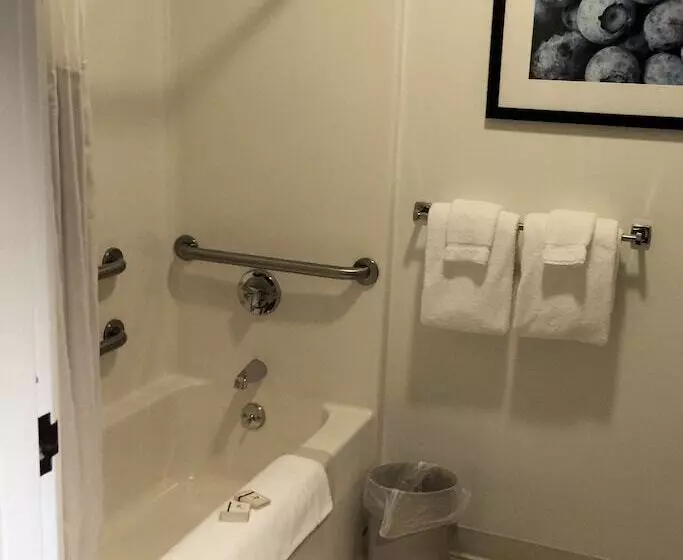 キングサイズベッドのスタンダードルーム, Camden Riverhouse Hotel And Inn
