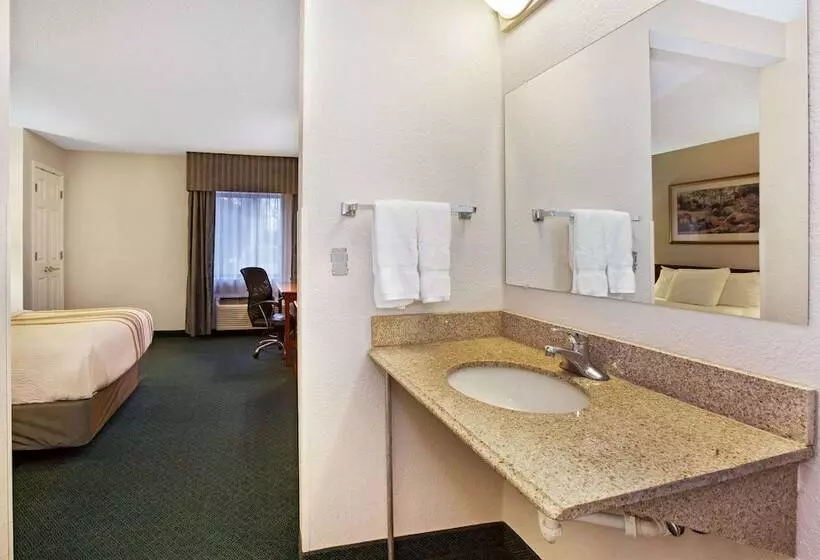 デラックスルーム, La Quinta Inn By Wyndham Detroit Canton