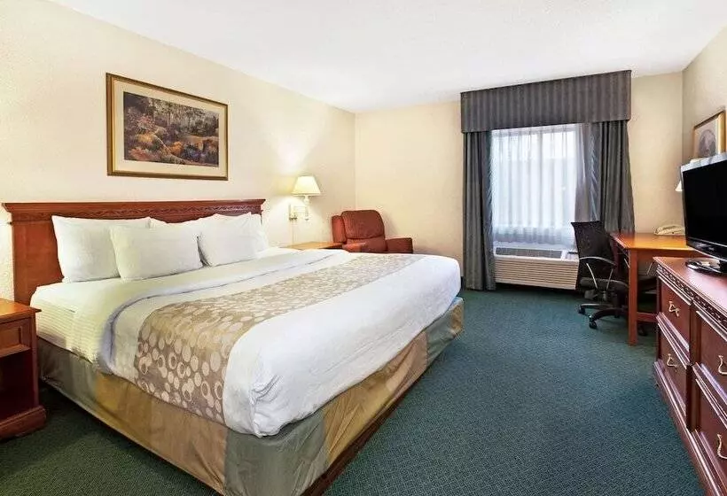 デラックスルーム, La Quinta Inn By Wyndham Detroit Canton