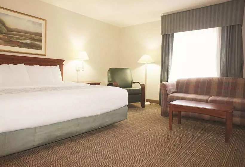デラックスルーム, La Quinta Inn By Wyndham Detroit Canton