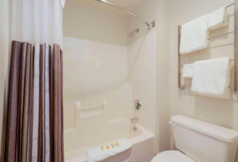 스탠다드 룸 킹사이즈 침대, La Quinta By Wyndham Cleveland Macedonia