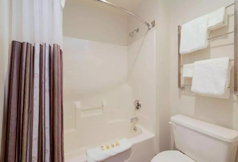 デラックススタジオ, La Quinta By Wyndham Cleveland Macedonia
