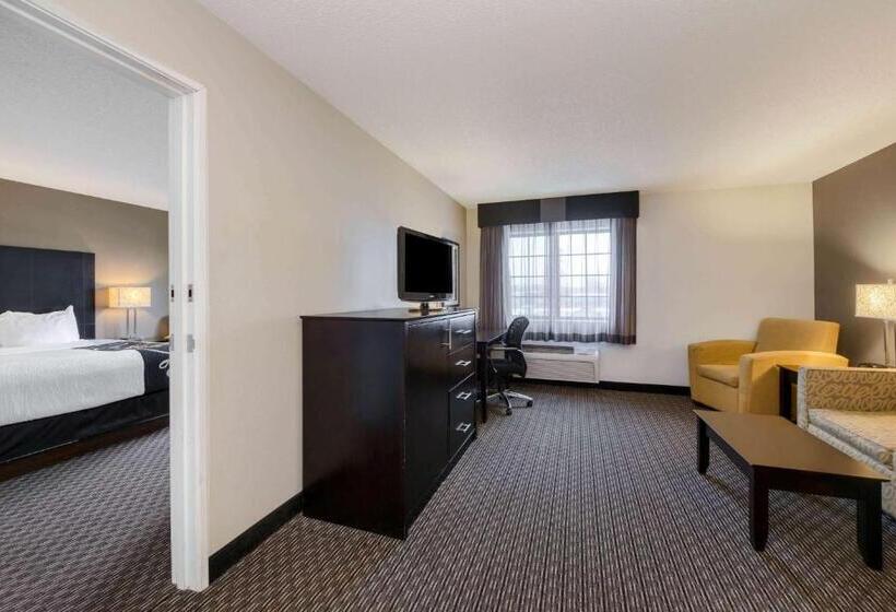 جناح سرير كينج, La Quinta By Wyndham Cleveland Macedonia