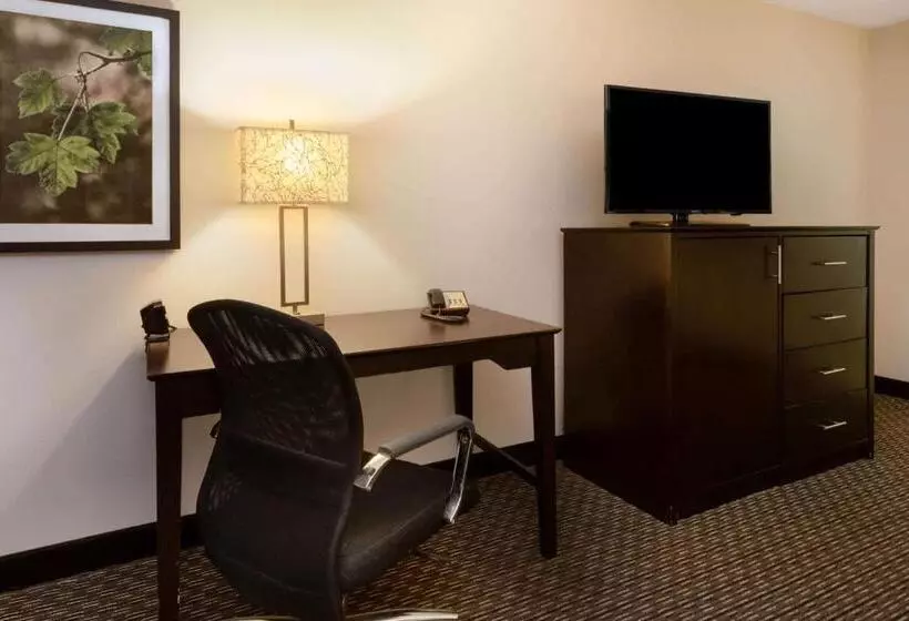 ２ダブルベッドのスタンダードルーム, La Quinta By Wyndham Cleveland Macedonia